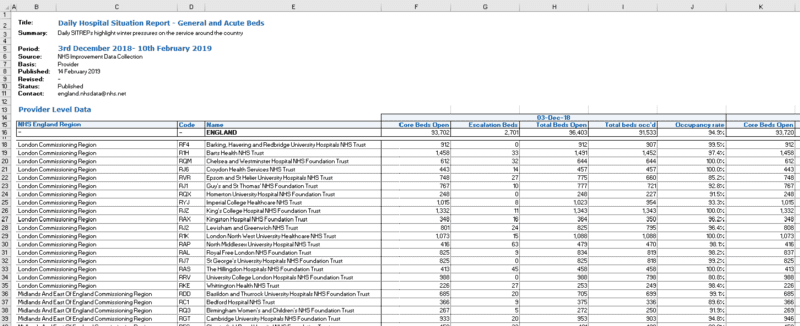 Screenshot of the Excel spreadsheet with metadata and blank lines